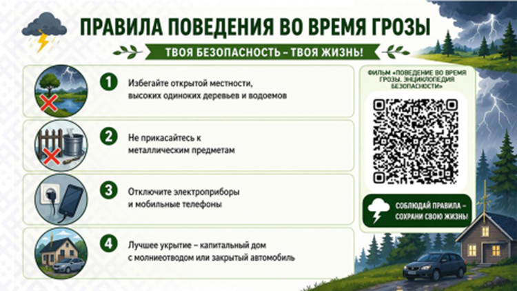 11-072026.png