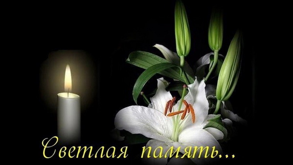 E8wakq6X0AEArPb 600